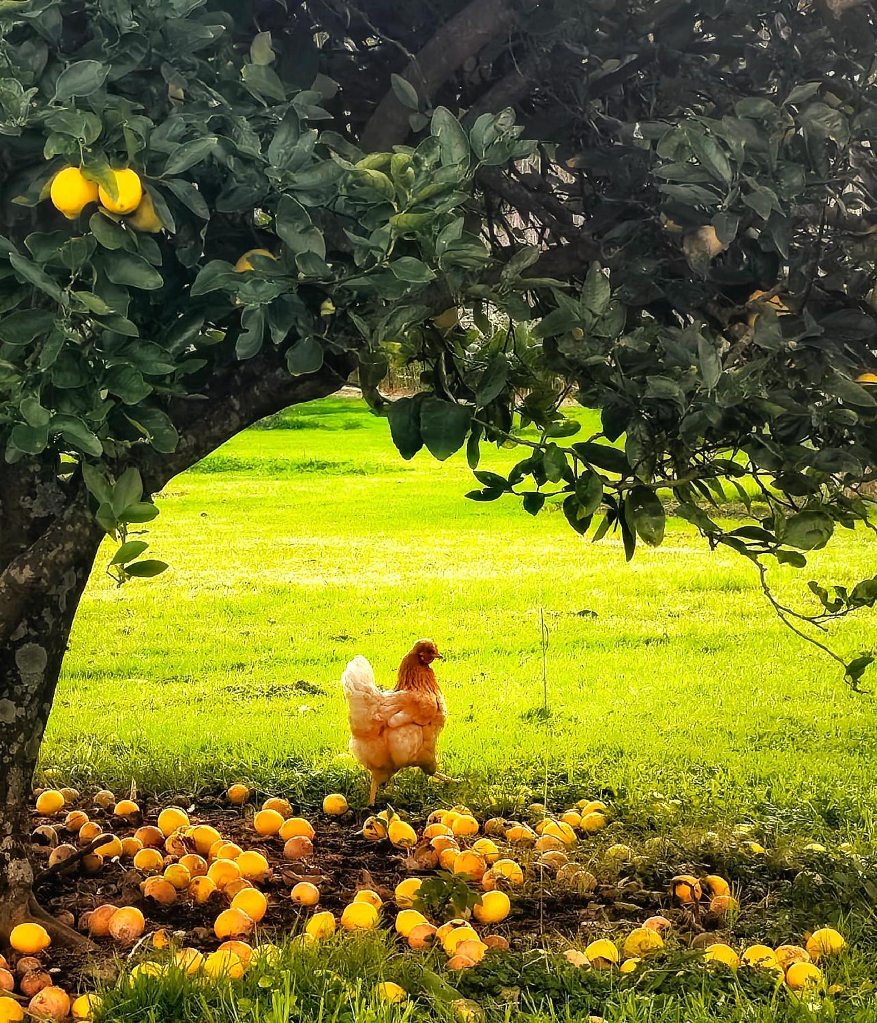 Apple Cider Lodge Omaha المظهر الخارجي الصورة